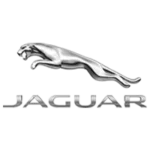 jaguar.webp